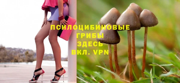 a pvp Елизово