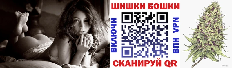 Конопля семена как найти наркотики Зеленогорск